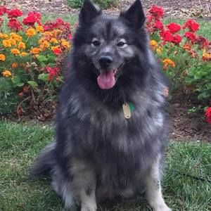 Meet your Posher, Sue